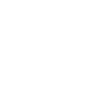 The Procurement Plug Logo